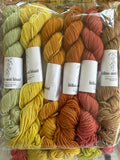 Summer Glow mini skein set