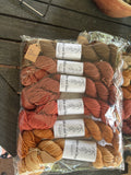 Autumn mini skein set
