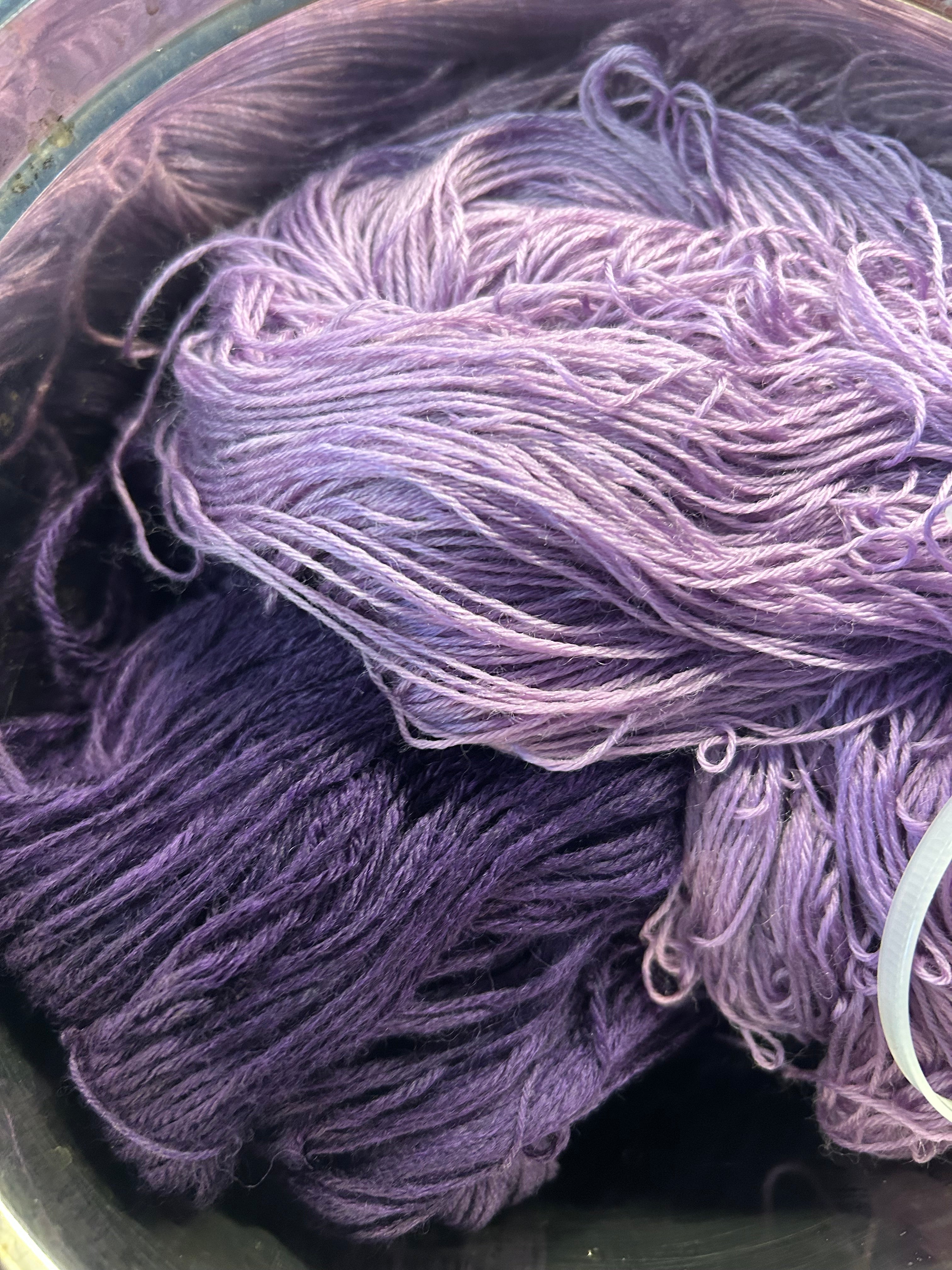 Logwood - Light Purple