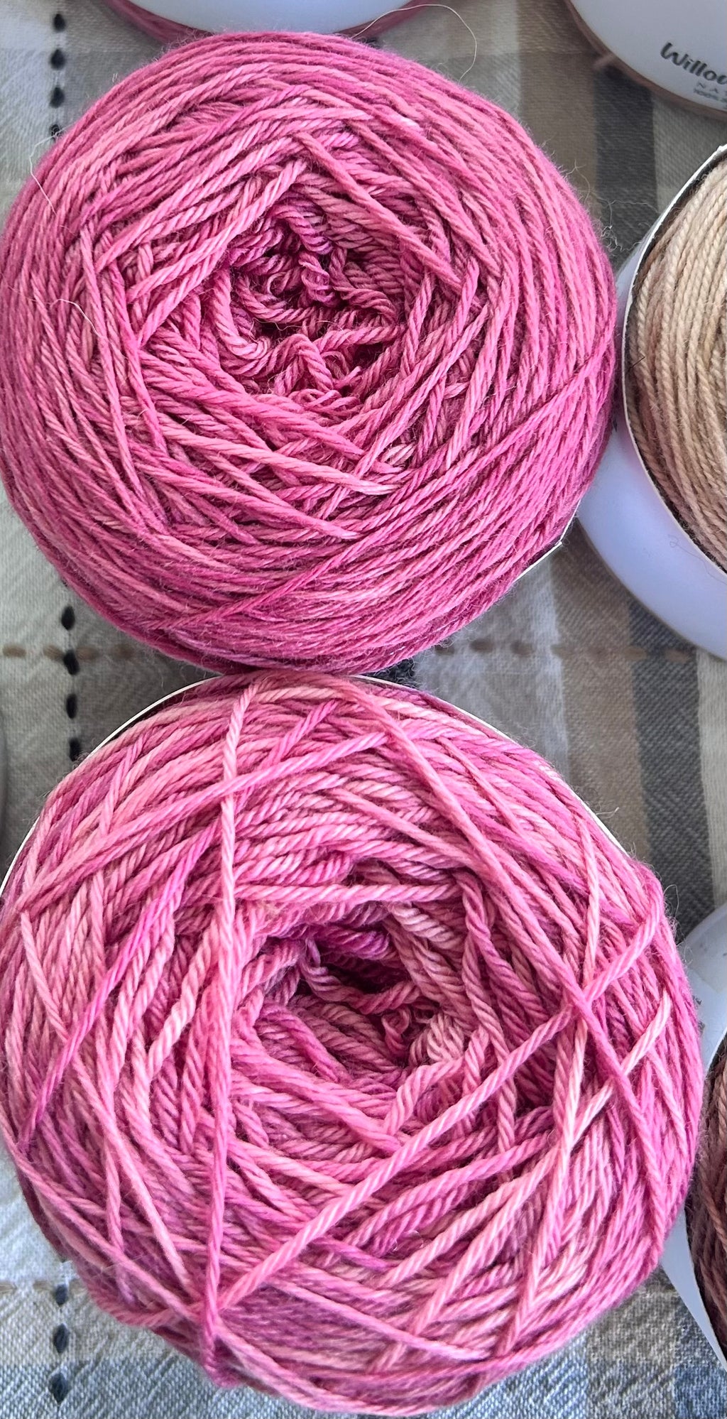 Magenta Cochineal