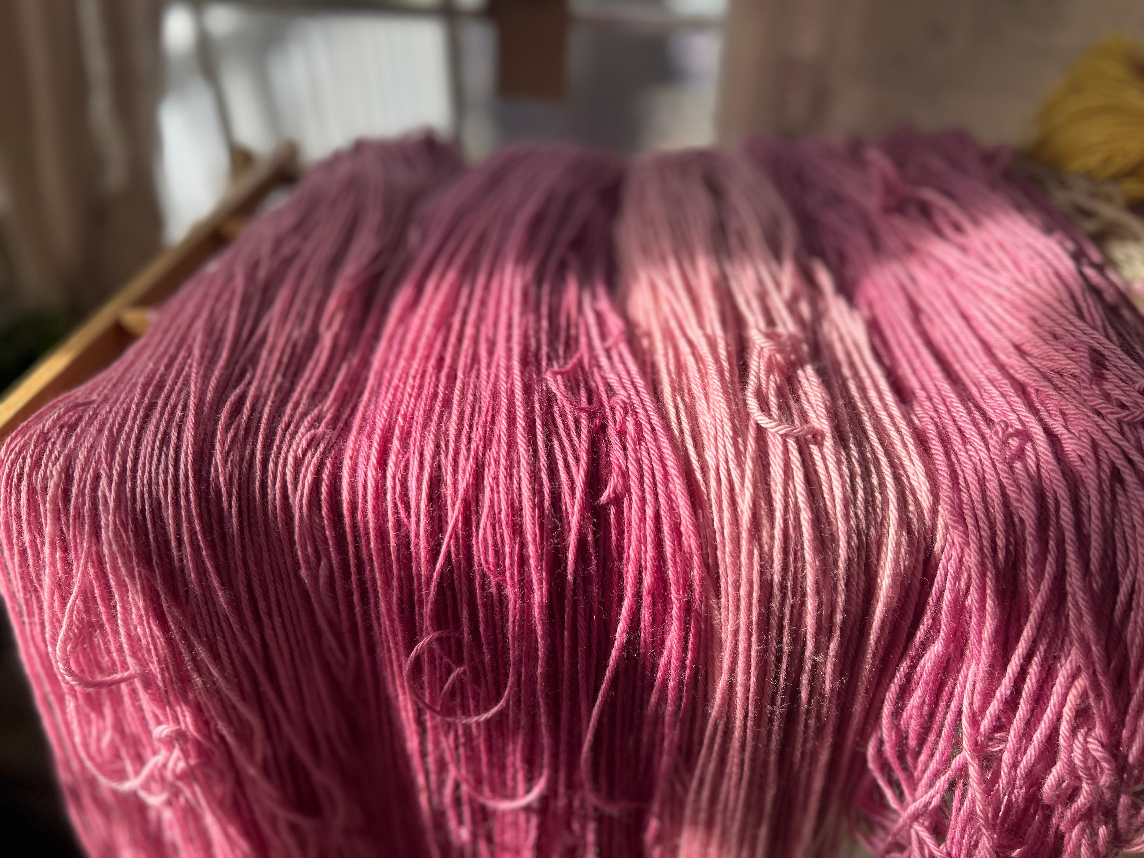 Ballerina Pink Cochineal