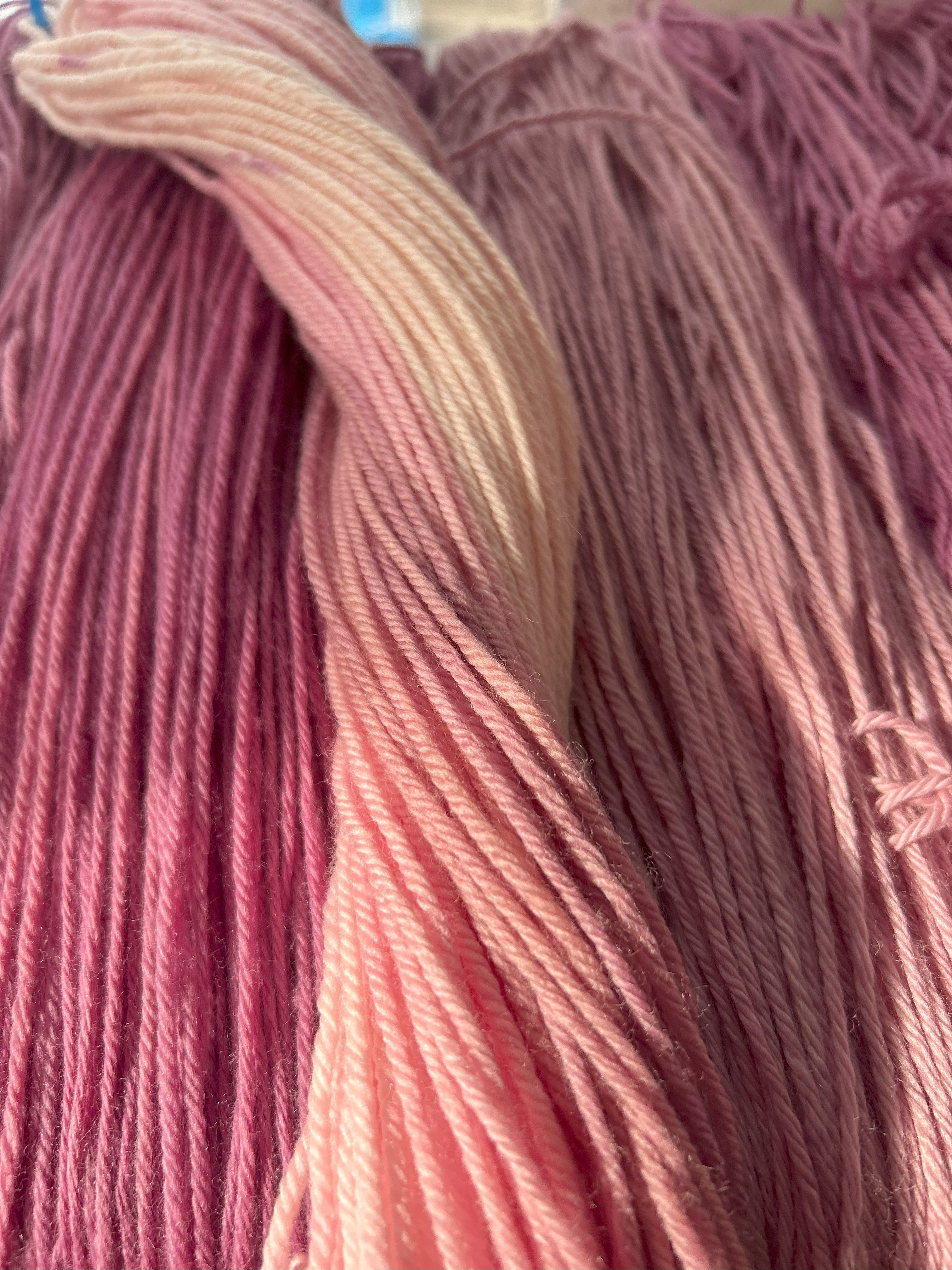Magenta Cochineal